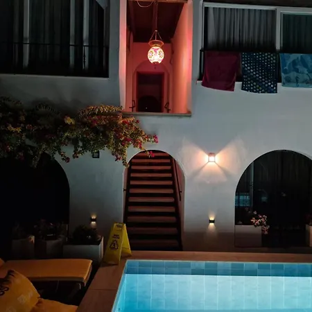 Berg * Αλικαρνασσός